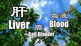 Liver (317.83Hz) Gallbladder (164.3Hz) Blood (321.9Hz) Tibetan Singing Bowl Healing Music