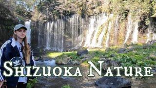 Last Trip In Shizuoka, Shiraito Falls, Yume no Tsuribashi, Obuchi Sasaba! ラスト静岡旅！[白糸の滝, 夢のつり橋, 大淵笹場]