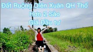 Đất ruộng Diên Xuân- Diên Khánh giá rẻ