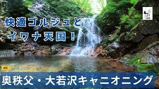 【沢登り】奥秩父・大若沢 ソロ Canyoning in Saitama Japan【キャニオニング】