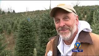 'Like A Cinderella Story' White House Christmas Tree Cut From Avery County Farm