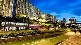 Hongkong Local Market and Walk | Tung Chung | Ying Tung