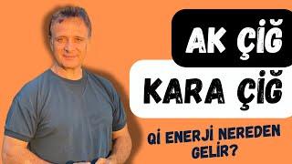 AK ÇİĞ VE KARA ÇİĞ (Qi Enerji Nereden Gelir?) | Ünal Güner