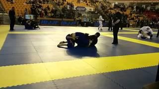 IBJJF Rome Open 2014 - Viking Wong (Legacy BJJ) vs Andreas Lars Martin Olsson (Hilti BJJ Stockholm)