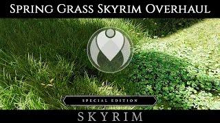 VERDANT SPRING GRASS OVERHAUL | Skyrim SE Ultra ENB Graphics | Nvidia GTX 1080