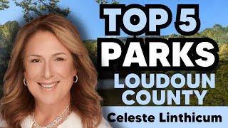 Top 5 Parks to Visit in Loudoun County!