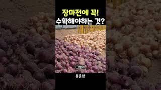 장마 전에 수확하는 작물?