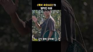 갈등만 있는 사회에 이런 드라마가 #폭싹속았수다