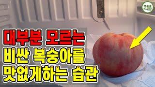 와.. 여태 먹은 복숭아가 안달았던 이유가 이거였네요..  비싼 복숭아를 맛없게 만드는 습관(peach)