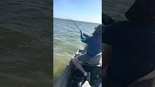 Red Fish 8.35lbs 27"