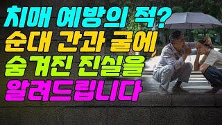 치매 예방의 적? 순대 간과 굴에 숨겨진 진실을 알려드립니다!