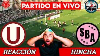 U PUNTEROUNIVERSITARIO 3-0 SPORT BOYS EN VIVO -  LIGA 1 CLAUSURA 2024Reaccion Hincha