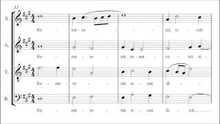 Aichinger | Regina Coeli [á 4; with Organ Intonation]