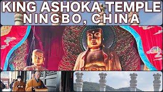 Discover the Ancient King Asoka Temple dedicated to BUDDHA in Ningbo City, China