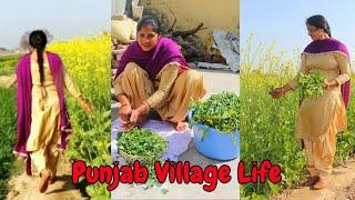 Punjab Village LifeSaag recipe  Saro da SaagSarso Saag recipe/Indian rural life of Punjab