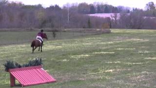 Jacqurei Oaks Fun Show 2009 - Lennie & Ollie - XC