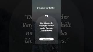 Welt der Zitate