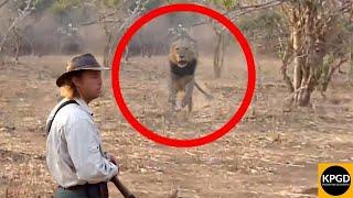 Lion Charge Tourists on Walking Safari in Kruger National Park.