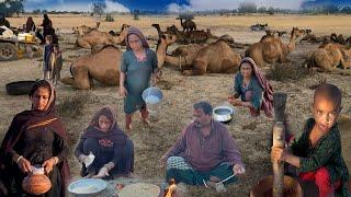 Pakistani Camel People Life Style In The Desert | Desert Women Morning Routine | Camle Milking