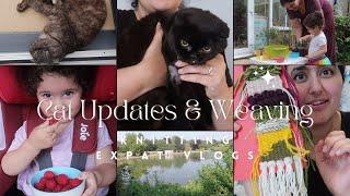 Cat Updates & Weaving Experiments - Knitting Expat Vlogs