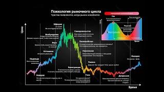 История повторяется на крипто рынке я в шоке. Доминация альткоинов. #альтсезон