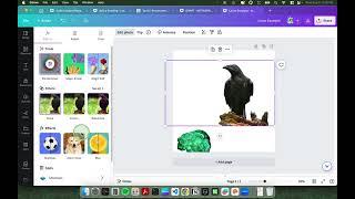 Canva Pro Hacks: Transform Images with Background Remover & Magic Edits 