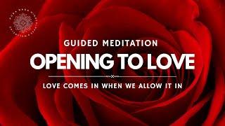 Opening to LOVE  Guided Heart Chakra Meditation