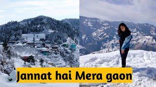 SHimla ️the heaven is here ||my village||Himachal wali