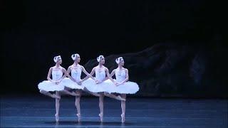 Hong Kong Ballet "Swan Lake" - Dance of the Cygnets