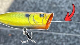 Master Popper Fishing With this Simple Tip