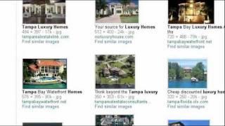 Tampa Bay Area Luxury Real Estate - Steve Eckhardt  (813) 765-1182