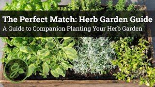 The Perfect Match: Herb Garden Guide - A Guide to Companion Planting Your Herb Garden