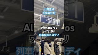 #ワタリドリ #alexandros #接近メロディ #小田急線 #相模大野