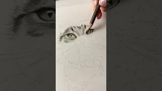 The start of something new… Say hello to Bella  #drawing #artist #petportrait #art