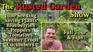 June Crops, Tomato, Pepper, Zucchini & Cucumber Tips, Harvesting & More (The Rusted Garden Show E3)