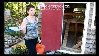 Cleaning Droppings Boards in the Chicken Coop