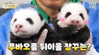 Born on the same day, but their temperaments are completely different Twin baby pandas #Baobao EP.6