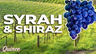 Syrah vs. Shiraz: What's The Difference?