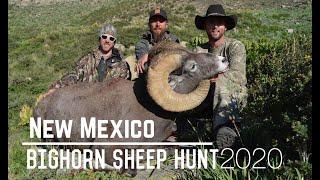 NM Bighorn Sheep Hunt 2020 | 181" Ram