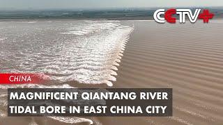 Magnificent Qiantang River Tidal Bore in East China City Amazes Holidaymakers