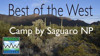 Best of the West! Stunning Saguaro National Park. We'll show you where to camp and what to see!