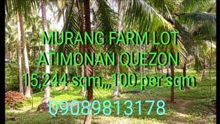 FARM LOT FOR SALE ATIMONAN QUEZON 15,244 SQM,,,100 PER SQM,,09089813178,marvin