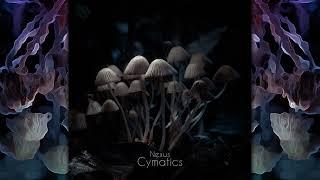 NEXUS - Cymatics [Full Album]