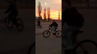 IMPENNATE AL TRAMONTO