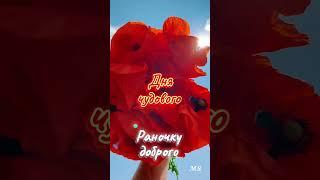 #доброгоранку #гарногодня