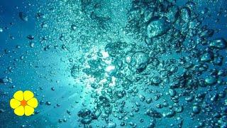 Underwater REAL Bubble Sounds - Water Bubbles - Underwater Sounds Ambience to Relax White Noise