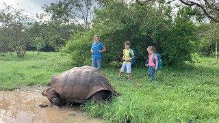 South America with kids - The Galápagos Islands