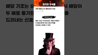 SNT홀딩스의 불확실한 미래 #20250604#SNT홀딩스#위기의주식들