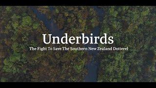 Underbirds: The Fight to Save the Southern New Zealand Dotterel by students at University of Otago.