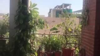 Luxury Apartment for rent in Kailash Colony, South Delhi: PropCare